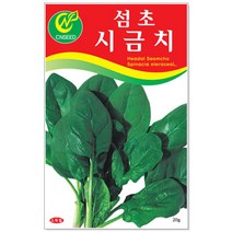 섬초시금치 20g