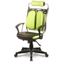 체어포커스 뉴럭스 듀얼백 의자, 그린