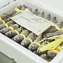 통째로 먹는 영광 법성포 굴비 70미