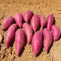 해남 무안 황토고구마 3kg 5kg 10kg, 10kg [왕]고구마