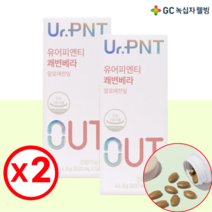 녹십자웰빙 알로에전잎 무수바바로인 GC녹십자 유어피엔티 쾌변베라 2통