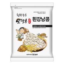 2021년산 힘찬농부오달봉 수입산 흰강낭콩 흰강남콩 그레이트노던빈 네이비빈, 1개, 수입산 흰강낭콩5kg