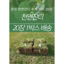 서경농원 천연잔디 18cm x 25장 묶음 한국잔디 중지