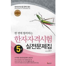 한 번에 합격하는 한자자격시험 실전문제집 5급, 삼호미디어