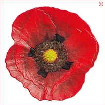 양귀비 REMEMBRANCE POPPY 1 Oz Silver Coin Mint