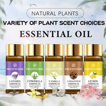 퓨어 플랜트 가습기 에센셜 오일 10ml 민트 라벤더 티 트리 로즈 바닐라 리프레쉬 릴리스 네이처, 세이지