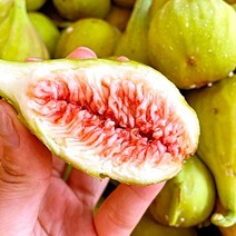 당일수확 고당도 영암 청무화과, 2kg, 1개