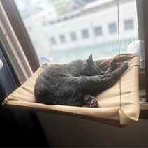 제이케이 고양이 창문 해먹 윈도우 캣타워, 베이지