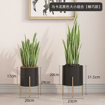 철재화분다이 원목화분선반 정리대북유럽 심플 모던 메탈 플랜트 스탠드 두꺼운 친환경 플로어 타입 플라, 18 Quality Clearance