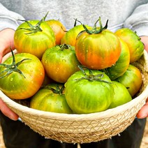 32년경력 맛보장 대저 짭짤이 토마토 단마토 고당도 산지직송, 2.5kg/ 2S (로얄과)