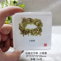 조각품 진짜 식물 곤충 견본 거북이 머리 거미 잠자리 불가사리 수지 홈 테이블, 25 25