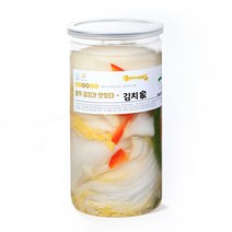 광주 김치타운 김치가 맛있는 정휴선 백김치캔 500g 1kg, 1개
