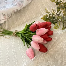 [나혼자산다 박나래] 어버이날 선물 30살 계란한판 용돈 박스 DIY 세트, 튤립 레드+핑크 set