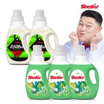 쉬슬러 다운워시 점퍼 패딩 이불 전용세제 구스 650ml 2개 + 유칼립투스 세제 미니 650ml 3개, 단품