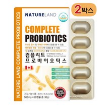 락토바실러스 복합물 유산균 인체유래 프로바이오틱스 ncfm 마이크로 캡슐 아시도필루스 가세리 비피도 박테리오신 비피더스 커플유산균 캐나다 정품 식약청, 2박스, 60캡슐