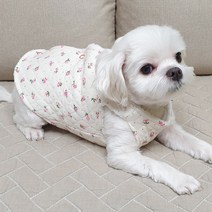 도기코디 장미양털 조끼 강아지겨울옷, 아이보리