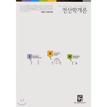 전산학개론, 정일