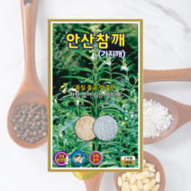 안산참깨씨 3000립 참깨 씨앗 대장 KS종묘