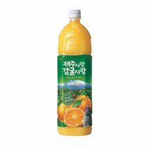 NU 롯데 제주사랑 감귤사랑 1.5LX6펫X2박스 제주 착즙 주스 쥬스 원액 농축액 즙 귤 추천