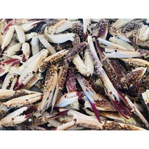 국내산 업소용 육수용 집게다리 꽃게발(10kg), 꽃게발 10kg