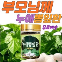 누에 뽕잎 환 간편 누에효능 뽕잎효능 지인선물 뽕잎 누에 환 학생 수험생 아들 딸 간편 누에뽕잎환 부모님 어르신 시부모 시어른 선물