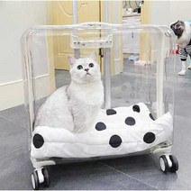 강아지 애견 이동 가방 캐리어 고양이 케이지 이동장, D