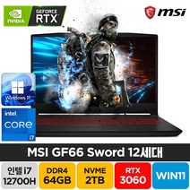 MSI Sword GF66 A12UE 인텔 12세대 i7-12700H RTX3060 윈도우11 배그 주식 고성능 게이밍 노트북, GF66 Sword, WIN11 Home, 64GB, 2TB, 코어i7, 블랙