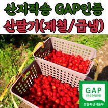 농장직송 포항 산딸기 냉동산딸기 생과 500g 1kg 2kg, 급냉_산딸기_벌크_2kg