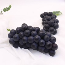 [당일작업] 바른농수산 고당도 거봉 포도 당도선별, 1개, 거봉 4송이 (2kg)