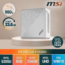 MSI 본체 베어본 초미니 산업용 가성비 가정용 미니PC, 램 8GB/SSD256GB, WIN10 PRO
