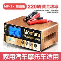 인산철 충전기 재생기 600W 12V 24V 자동차 방전 배터리 밧데리 오토바이 배터리 바이크, A.220W 12V/24V개