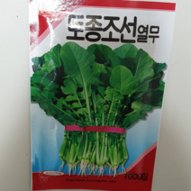 안산 플라워마트 상추 씨앗, 1개, 열무