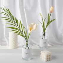 핸드메이드 디퓨저 방향제 3년 연속 수상 고급 프리미엄 향 루시아 카라 플라워 조화+디퓨저 200ml, 엘레강스머스크