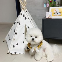 강아지 고양이 포메라니안 비숑 프리제 러시안블루 먼치킨 애완동물 하우스 집 인디언텐트, 터키석흰색
