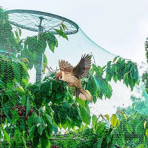 농사용그물망 2x5m 새 참새 과수원 텃밭 보호망