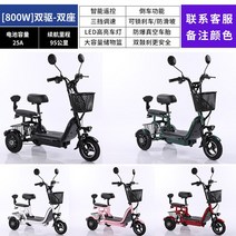 세발 전기자전거 YY 전기 삼륜 소형 가정용 미니 접이식 배터리 자동차, 17 T, 한개옵션1