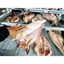 [통영직송] 잘말린 통영 건조 물메기 (대사이즈) 곰치 꼼치 물미거지, 잘말린 통영 건조물메기 2미 대사이즈(300g내외)