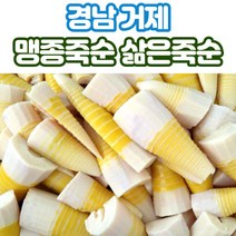산지직송 거제 죽순 맹종죽 삶은죽순 500g 1kg, 삶은죽순_1kg_x1박스