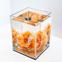 베타플라워 베타꽃침대[하늘하늘꽃침대], 핑크
