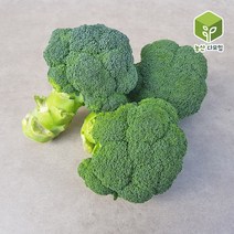 브로콜리(특) 2kg, 단품