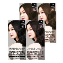 꽃을든남자 간편하게 나눠쓰는 CS 헤어칼라 4회분 새치염색제, N1 흑색, 1개