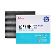 냄새제로 항균 활성탄 차량용 에어컨필터, 6.그랜드카니발 외