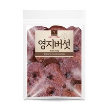 퓨어영 영지버섯 500g 영지버섯차, 1봉