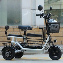 3륜 전기 자전거 성인용 어르신 출퇴근 배달, L. 25Ah약90km