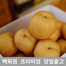 [특 등급 선별] 배 3kg 제철과일 과일 가래없애는방법 배도라지즙 과일종류 도라지배즙 배즙 과일선물세트 봄제철과일 배한상자 나주배 요즘제철과일 서양배 과일선물 특산물 배즙효능 배