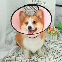 애견 엘리자베스 링 핥기 방지 고양이 케이스 딥 물림 방지 헤드 커버 핥기 방지발 상처 넥 워머플러, 핑크