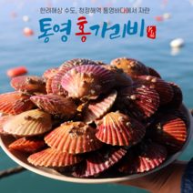살아있는 고흥 제철 홍가리비 2kg (50미 내외)