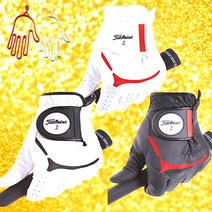 (타이틀리스트 재팬 최신 정품) 기능성 남성 골프장갑 - 2개 구매시 건조기 증정, [화이트] 26