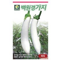 흑원경 가지 씨앗 100립 - 가지씨앗 채소씨앗 야채씨앗 종묘 종자 베란다 텃밭 채소재배 씨 씨앗 오이 호박 방울토마토 수박 참외 멜론, 02_다농_백원경 가지(50립)