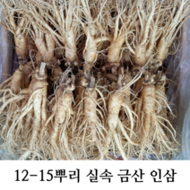 실속형 가정용5년근 인삼 12-15뿌리 (오쿠용 홍삼용 실속인삼), 가정용난발삼750g (12-15뿌리)